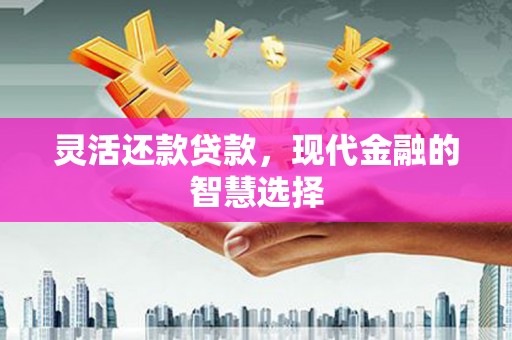 荷塘灵活还款贷款，现代金融的智慧选择