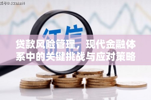 荷塘贷款风险管理，现代金融体系中的关键挑战与应对策略