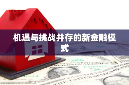 荷塘机遇与挑战并存的新金融模式