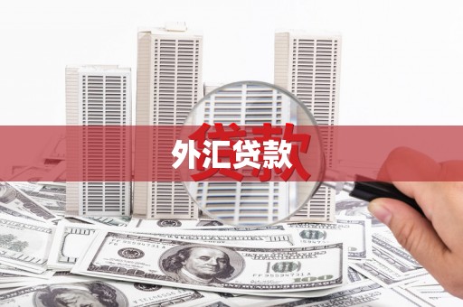 荷塘外汇贷款