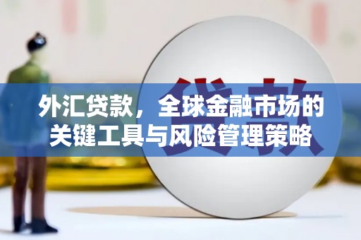 荷塘外汇贷款，全球金融市场的关键工具与风险管理策略