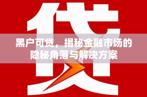 荷塘黑户可贷，揭秘金融市场的隐秘角落与解决方案