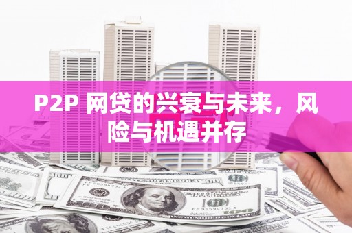 荷塘P2P 网贷的兴衰与未来，风险与机遇并存