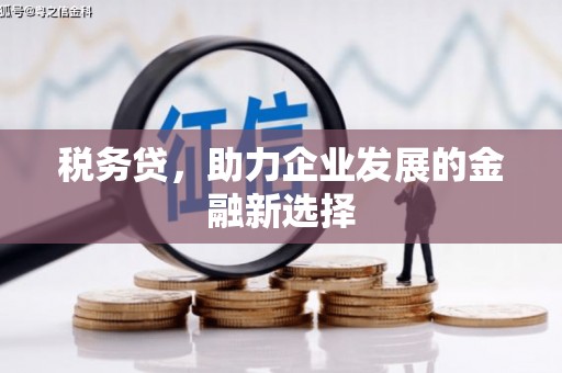 荷塘税务贷，助力企业发展的金融新选择