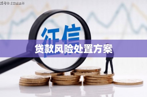 荷塘贷款风险处置方案