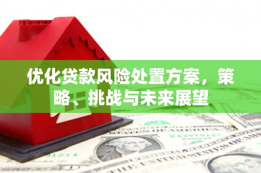 荷塘优化贷款风险处置方案，策略、挑战与未来展望