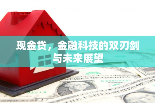 荷塘现金贷，金融科技的双刃剑与未来展望