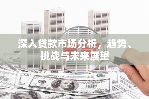 荷塘深入贷款市场分析，趋势、挑战与未来展望
