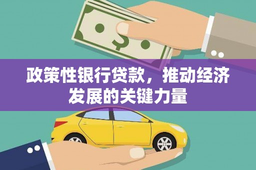 荷塘政策性银行贷款，推动经济发展的关键力量