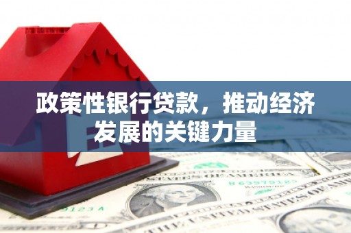 荷塘政策性银行贷款，推动经济发展的关键力量