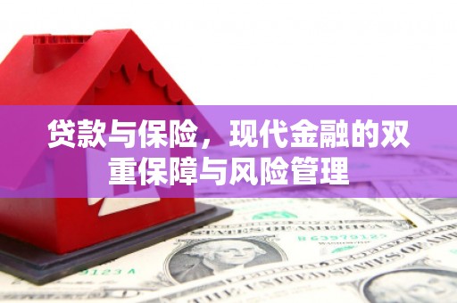 荷塘贷款与保险，现代金融的双重保障与风险管理