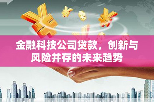 荷塘金融科技公司贷款，创新与风险并存的未来趋势