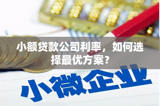 荷塘小额贷款公司利率，如何选择最优方案？