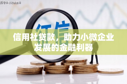 荷塘信用社贷款，助力小微企业发展的金融利器