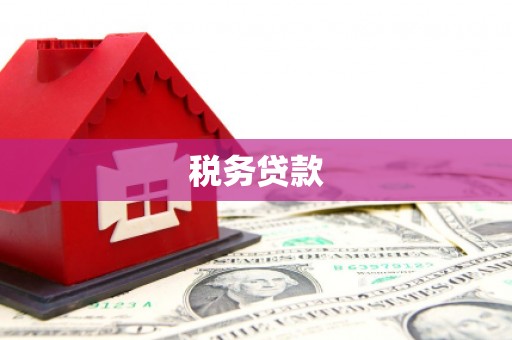 荷塘税务贷款
