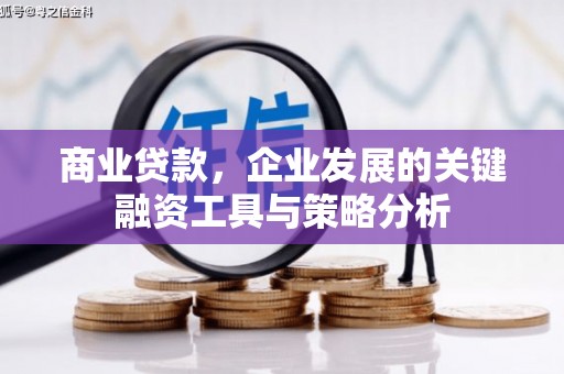 荷塘商业贷款，企业发展的关键融资工具与策略分析