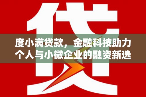 荷塘度小满贷款，金融科技助力个人与小微企业的融资新选择