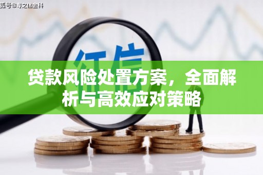 荷塘贷款风险处置方案，全面解析与高效应对策略