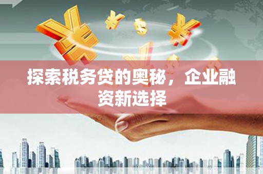 荷塘探索税务贷的奥秘，企业融资新选择