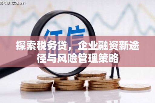荷塘探索税务贷，企业融资新途径与风险管理策略