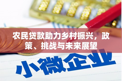 荷塘农民贷款助力乡村振兴，政策、挑战与未来展望