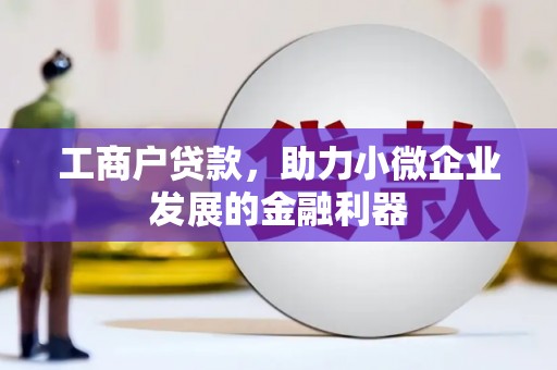 荷塘工商户贷款，助力小微企业发展的金融利器