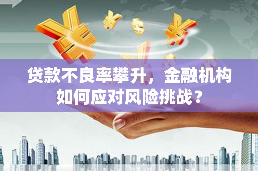 荷塘贷款不良率攀升，金融机构如何应对风险挑战？