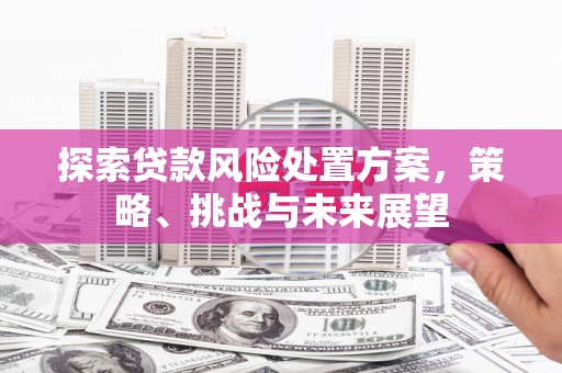 荷塘探索贷款风险处置方案，策略、挑战与未来展望