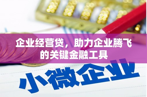 荷塘企业经营贷，助力企业腾飞的关键金融工具