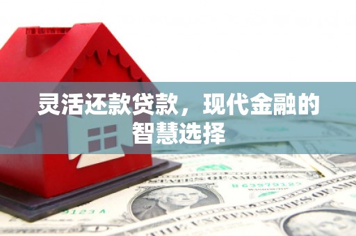 荷塘灵活还款贷款，现代金融的智慧选择