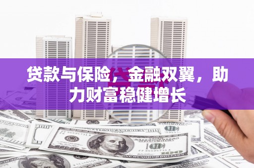 荷塘贷款与保险，金融双翼，助力财富稳健增长