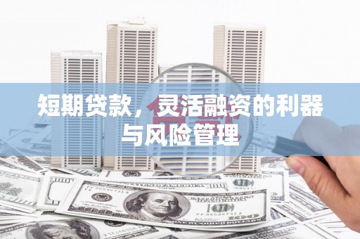 荷塘短期贷款，灵活融资的利器与风险管理