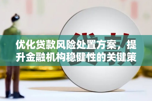 荷塘优化贷款风险处置方案，提升金融机构稳健性的关键策略