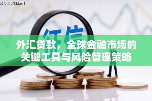 荷塘外汇贷款，全球金融市场的关键工具与风险管理策略