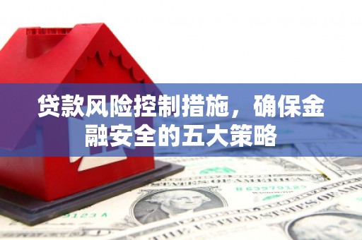 荷塘贷款风险控制措施，确保金融安全的五大策略