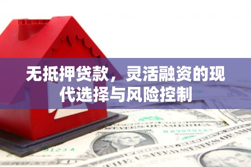 荷塘无抵押贷款，灵活融资的现代选择与风险控制