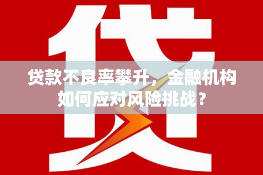 荷塘贷款不良率攀升，金融机构如何应对风险挑战？