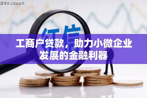 荷塘工商户贷款，助力小微企业发展的金融利器