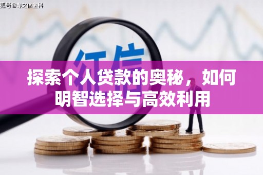 荷塘探索个人贷款的奥秘，如何明智选择与高效利用