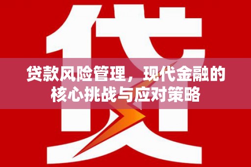 荷塘贷款风险管理，现代金融的核心挑战与应对策略