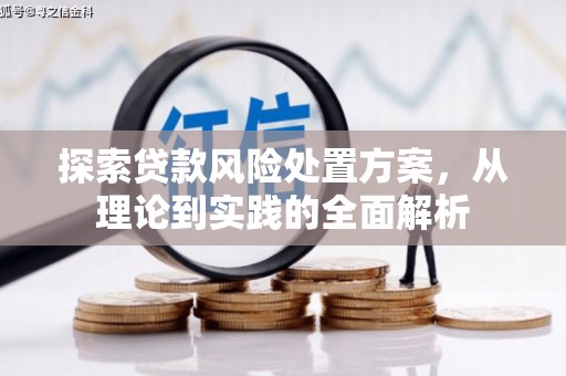 荷塘探索贷款风险处置方案，从理论到实践的全面解析
