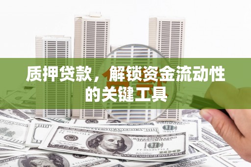 荷塘质押贷款，解锁资金流动性的关键工具