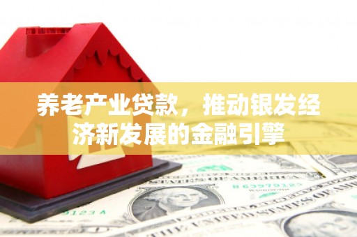 荷塘养老产业贷款，推动银发经济新发展的金融引擎