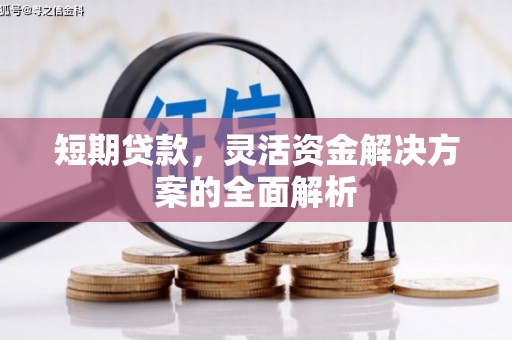 荷塘短期贷款，灵活资金解决方案的全面解析