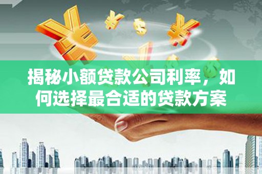 荷塘揭秘小额贷款公司利率，如何选择最合适的贷款方案