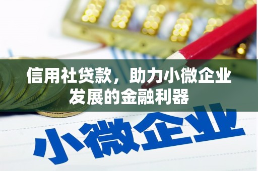 荷塘信用社贷款，助力小微企业发展的金融利器
