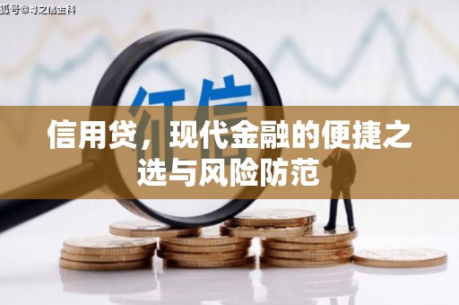 荷塘信用贷，现代金融的便捷之选与风险防范