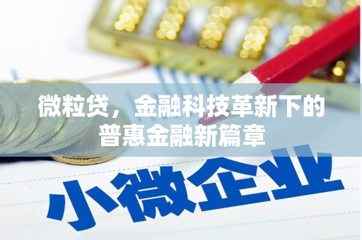 荷塘微粒贷，金融科技革新下的普惠金融新篇章