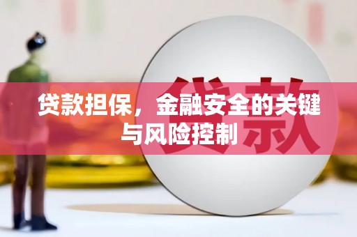 荷塘贷款担保，金融安全的关键与风险控制