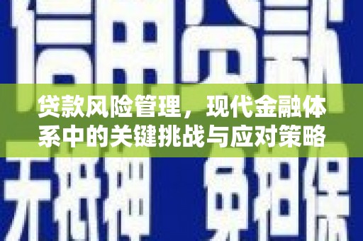 荷塘贷款风险管理，现代金融体系中的关键挑战与应对策略